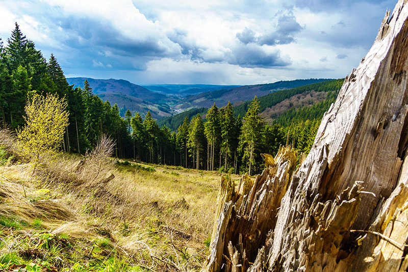 Landschaft Sauerland