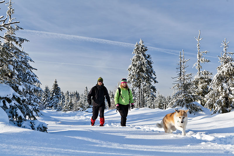 Urlaub mit Hund Winterberg